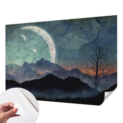 Self-adhesive wall mural Night landscape