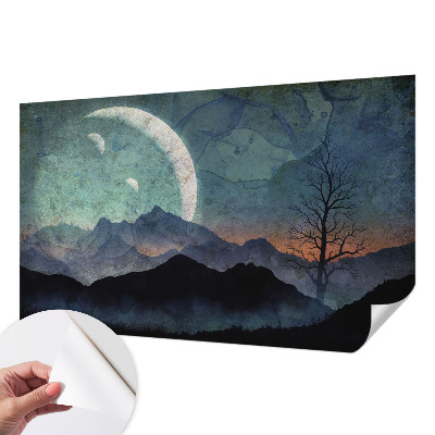 Self-adhesive wall mural Night landscape