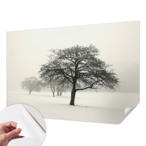 3D wall mural with a winter trees motif