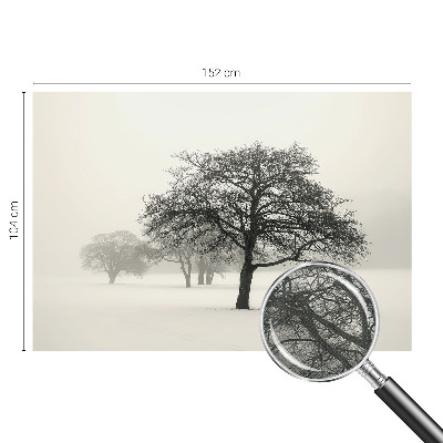 3D wall mural Winter trees