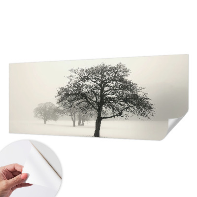 3D wall mural with a winter trees motif