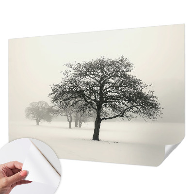 3D wall mural with a winter trees motif