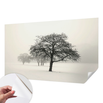 3D wall mural with a winter trees motif