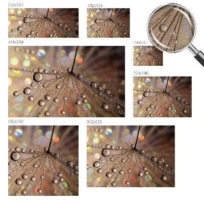 Peel and stick wall mural for living room Pearl drops