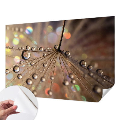 Peel and stick wall mural for living room Pearl drops