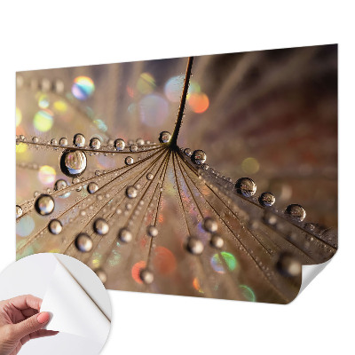 Peel and stick wall mural for living room with a pearl drops pattern