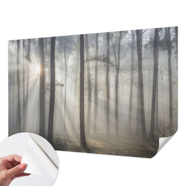 Children's wall mural with an ethereal forest design