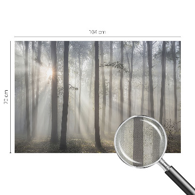 Children's wall mural Ethereal Forest
