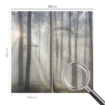 Children's wall mural with an ethereal forest design