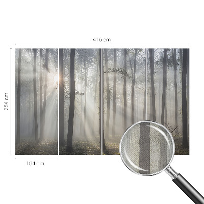Children's wall mural Ethereal Forest