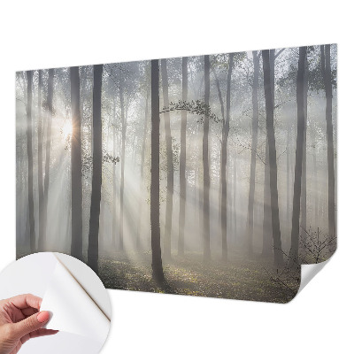 Children's wall mural Ethereal Forest