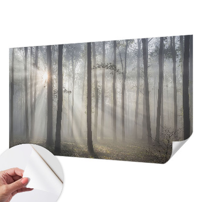 Children's wall mural Ethereal Forest