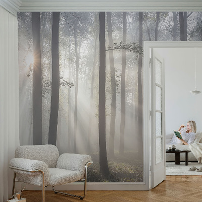 Children's wall mural Ethereal Forest