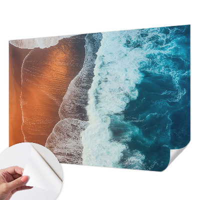 Peel and stick wall mural for bedroom with a marine symbiosis design