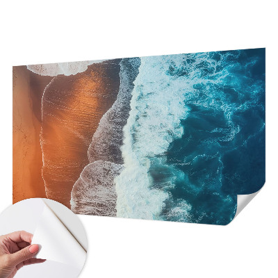 Peel and stick wall mural for bedroom with a marine symbiosis design