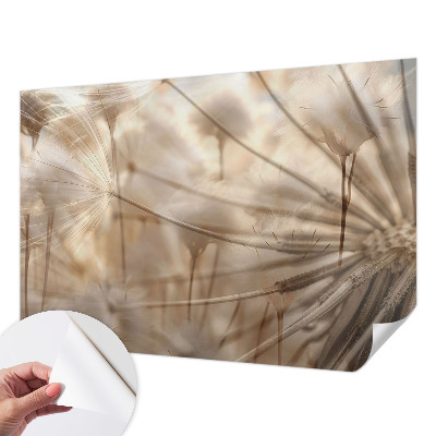 Peel and stick wall mural for kids' room Subtle dandelions