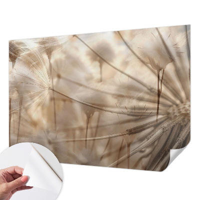 Peel and stick wall mural for kids' room with a subtle dandelion design