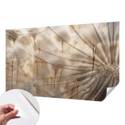 Peel and stick wall mural for kids' room Subtle dandelions