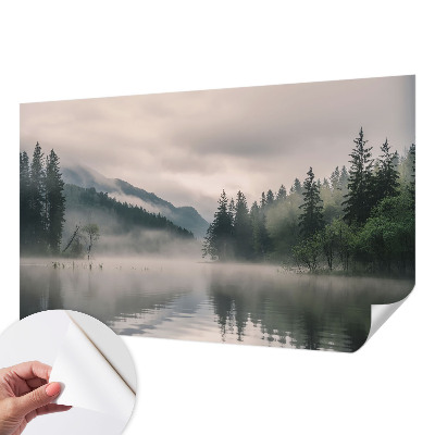 Peel and stick wall mural with an atmospheric lake scene