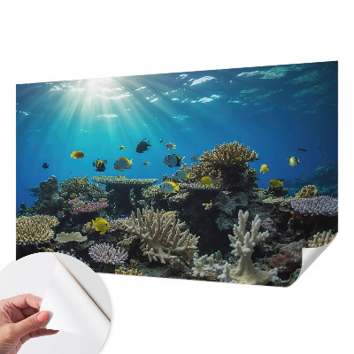 Stick-on wall mural with an underwater world design