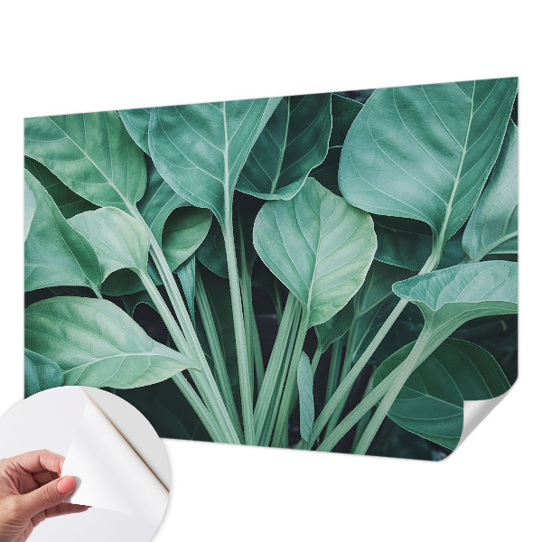 Peel and stick wall mural for living room Green nature
