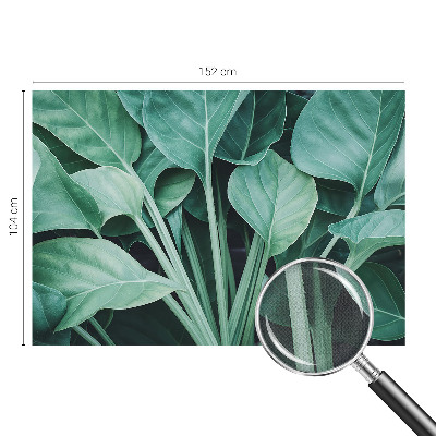 Peel and stick wall mural for living room with a green nature design
