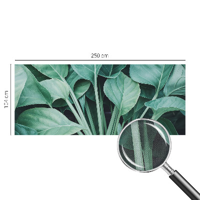 Peel and stick wall mural for living room with a green nature design