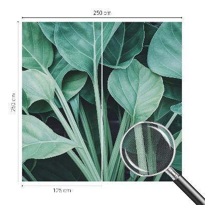 Peel and stick wall mural for living room with a green nature design