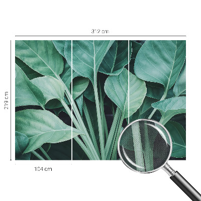 Peel and stick wall mural for living room Green nature