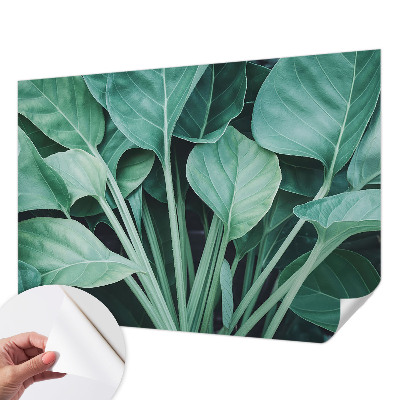 Peel and stick wall mural for living room Green nature