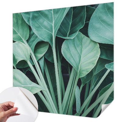 Peel and stick wall mural for living room with a green nature design