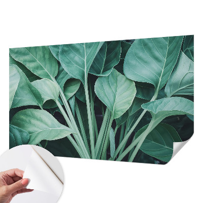 Peel and stick wall mural for living room Green nature