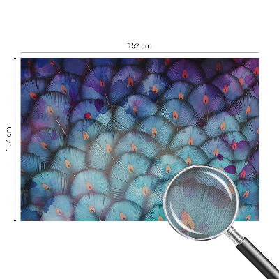 Peel and stick wall mural for kids' room with a colorful feather pattern