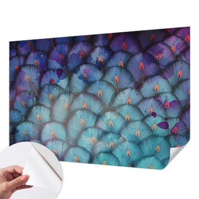 Peel and stick wall mural for kids' room with a colorful feather pattern