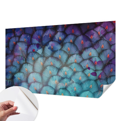 Peel and stick wall mural for kids' room with a colorful feather pattern