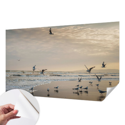 Baby room wall mural Seaside tranquility