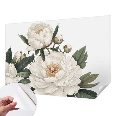 Stick-on wall mural White peonies