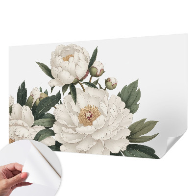 Stick-on wall mural White peonies