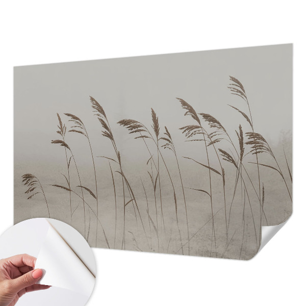 3D wall mural Grasses in the fog