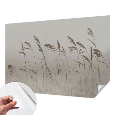 3D wall mural Grasses in the fog