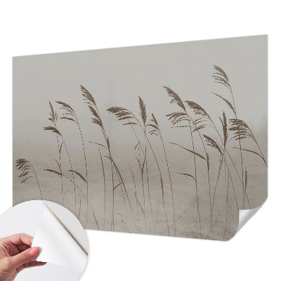3D wall mural with a misty grass motif