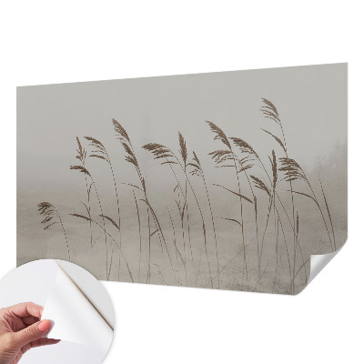3D wall mural with a misty grass motif