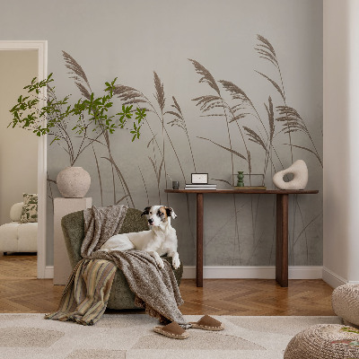 3D wall mural Grasses in the fog