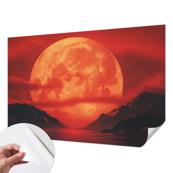 Removable wall mural featuring a nighttime sky scene