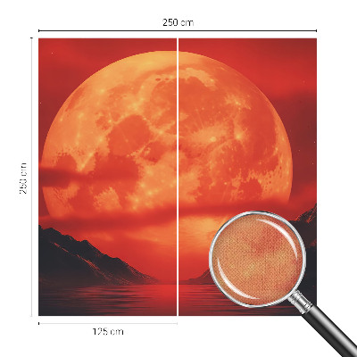 Removable wall mural Nighttime phenomenon
