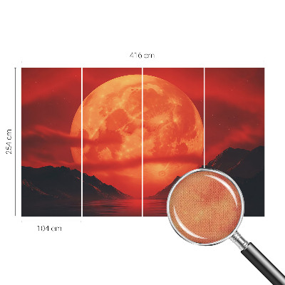 Removable wall mural Nighttime phenomenon