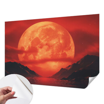 Removable wall mural Nighttime phenomenon