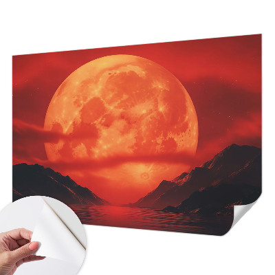 Removable wall mural Nighttime phenomenon