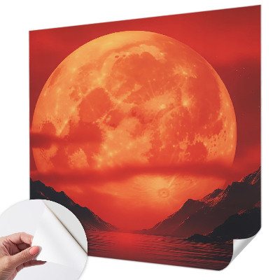 Removable wall mural featuring a nighttime sky scene