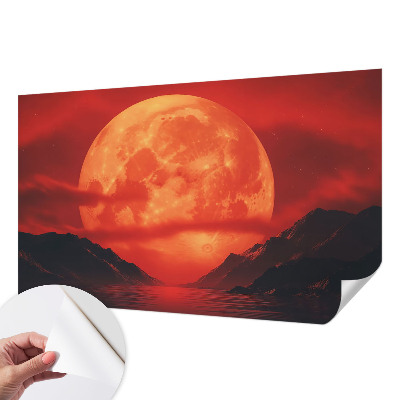 Removable wall mural Nighttime phenomenon